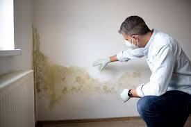 Best Residential Mold Inspection & Testing  in Quitman, MS